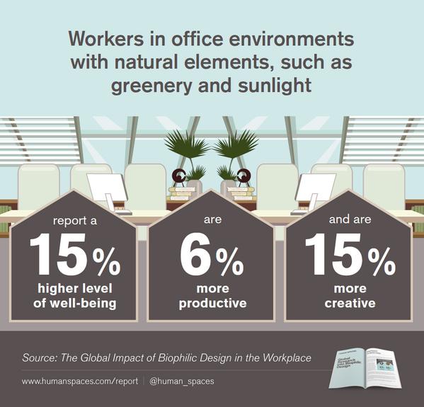 Plants & Biophillic Design in the workplace