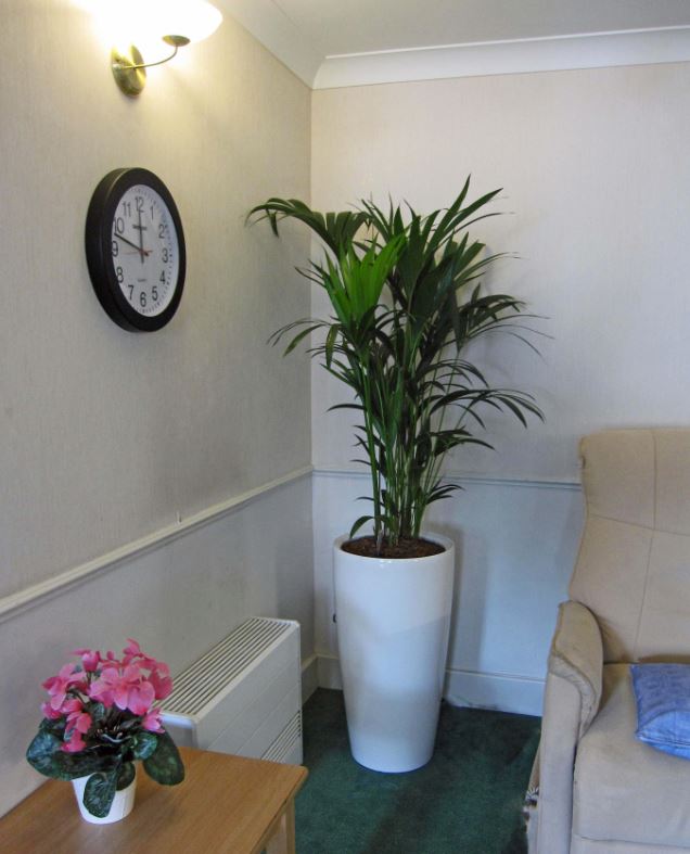 Tall circular Rondo display in Lounge area at Solihull Birmingham Care Home