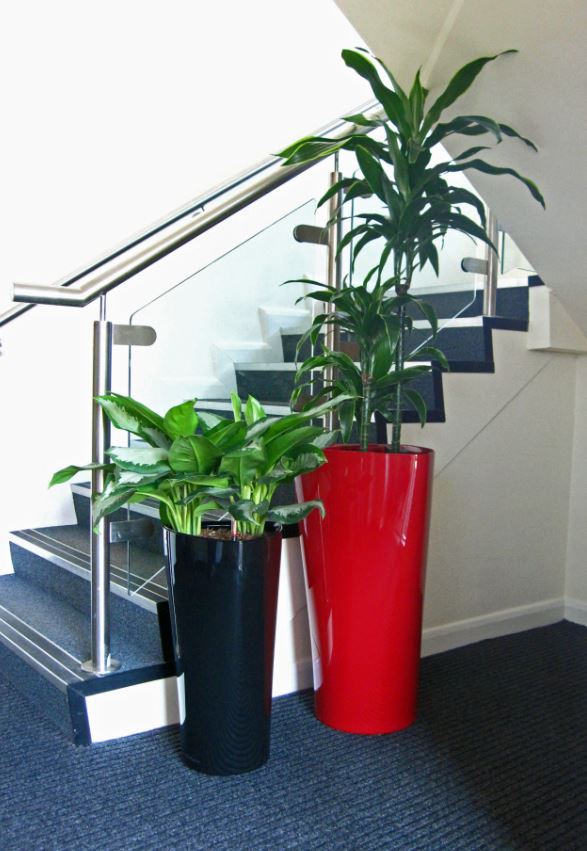 Tall triangular red and black plant displays Aspire LLP Bromsgrove