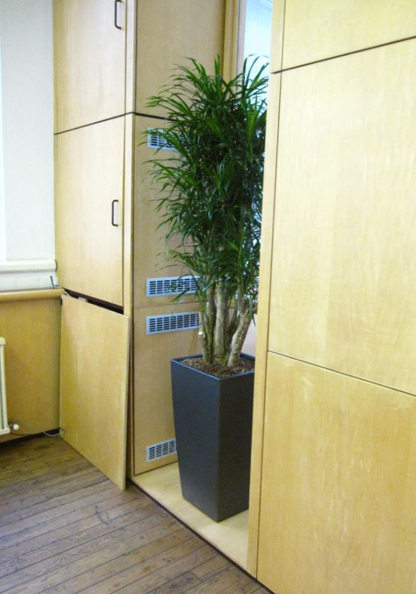 This plant display creates a green screen between the office and meeting room window