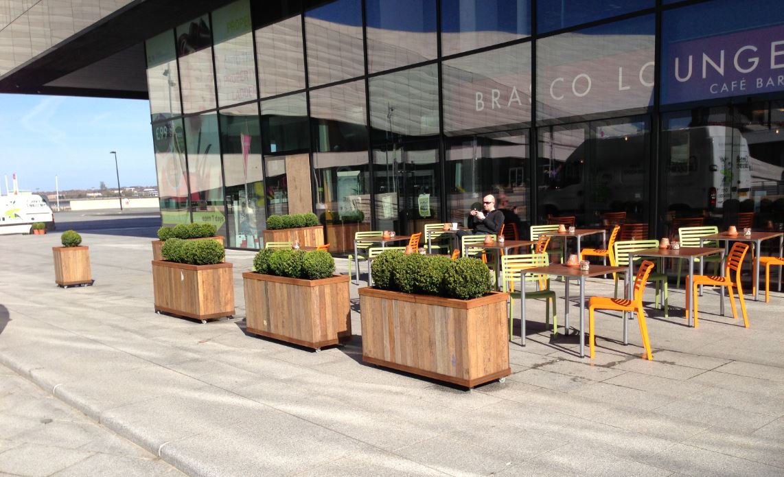 Tall rectangular barrier displays planted with buxus balls