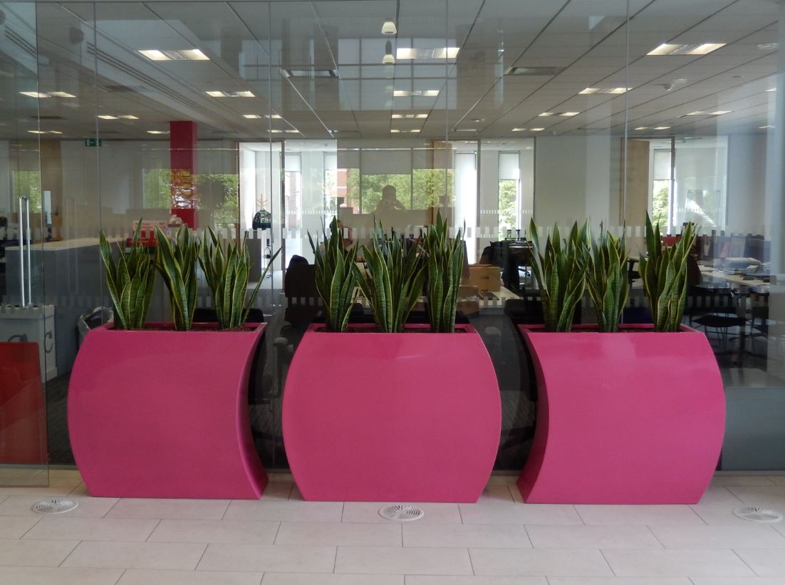 Office Breakout area curvy trough plant displays