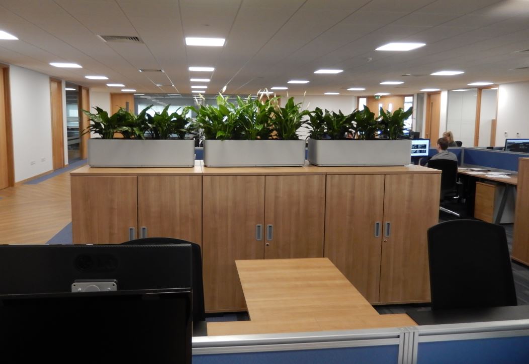 Large rectangular cabinet top displays in the open plan office