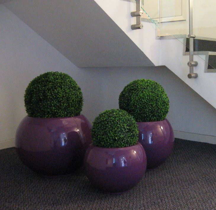 Barristers offices have plants in Birmingham & London outside lifts