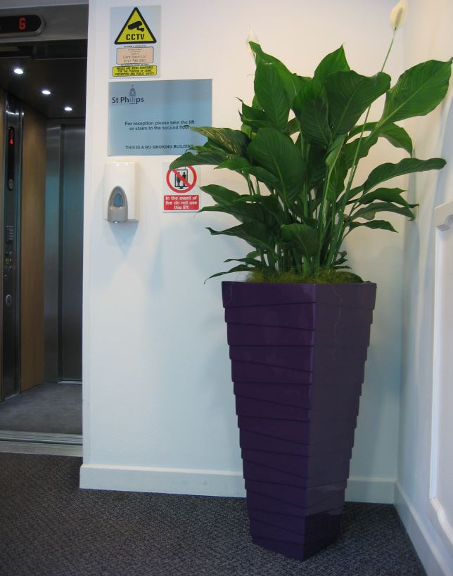 Barristers offices have plants in Birmingham & London outside lifts
