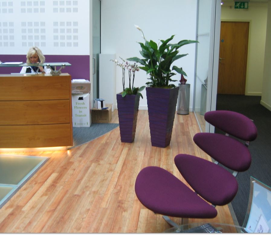 Barristers offices have plants in Birmingham & London main reception