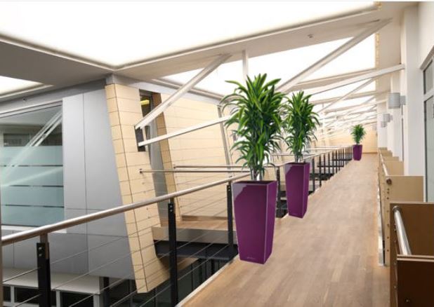 Imagine office plants 1st floor balcony after