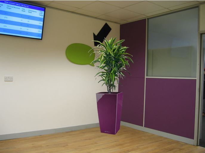 Imagine office plants 1st floor Purple room after