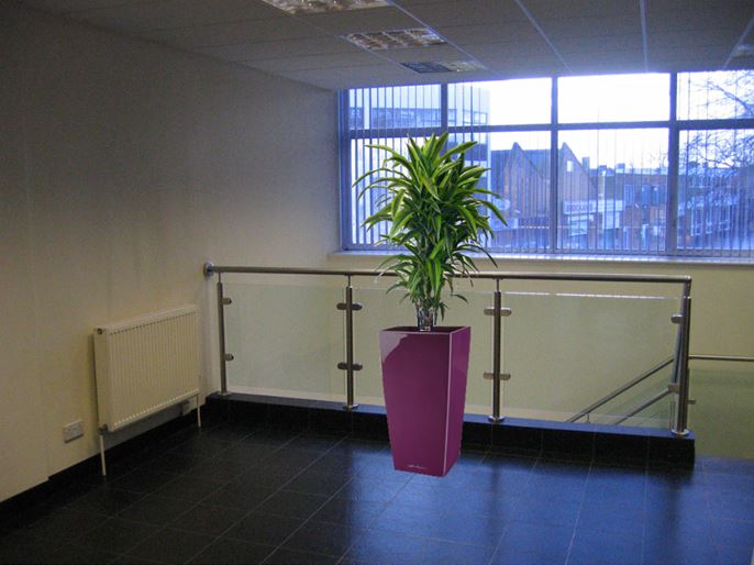 Imagine office plants 1st floor Samsung Reception after