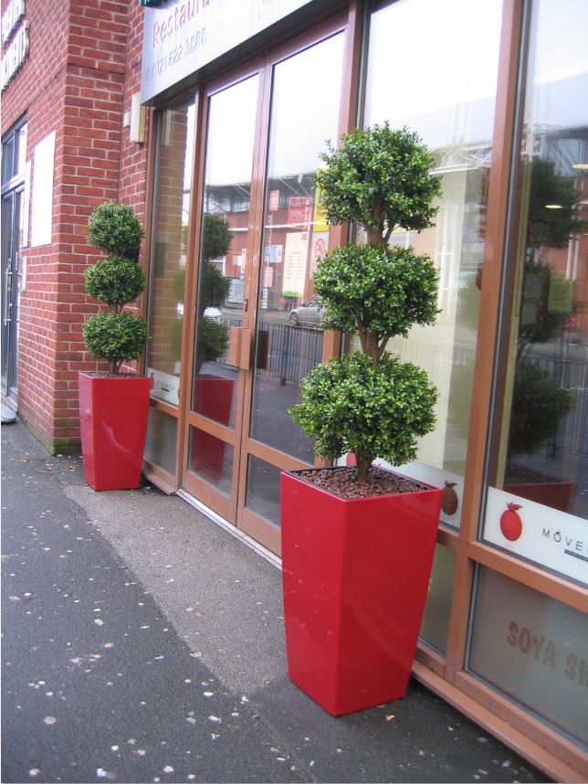 Plant Displays for Cafe Soya Birmingham Restaurant