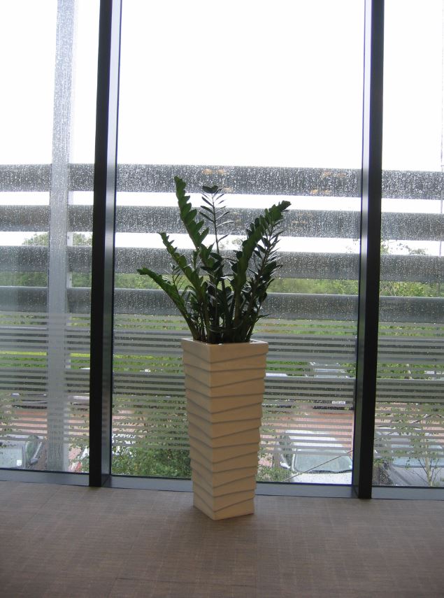 White Stack plant display at Blythe Valley Midlands HQ offices