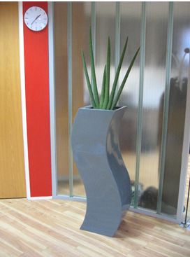 Contemporary plants for offices