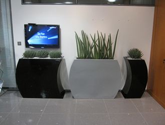 Contemporary plants for offices curvy troughs