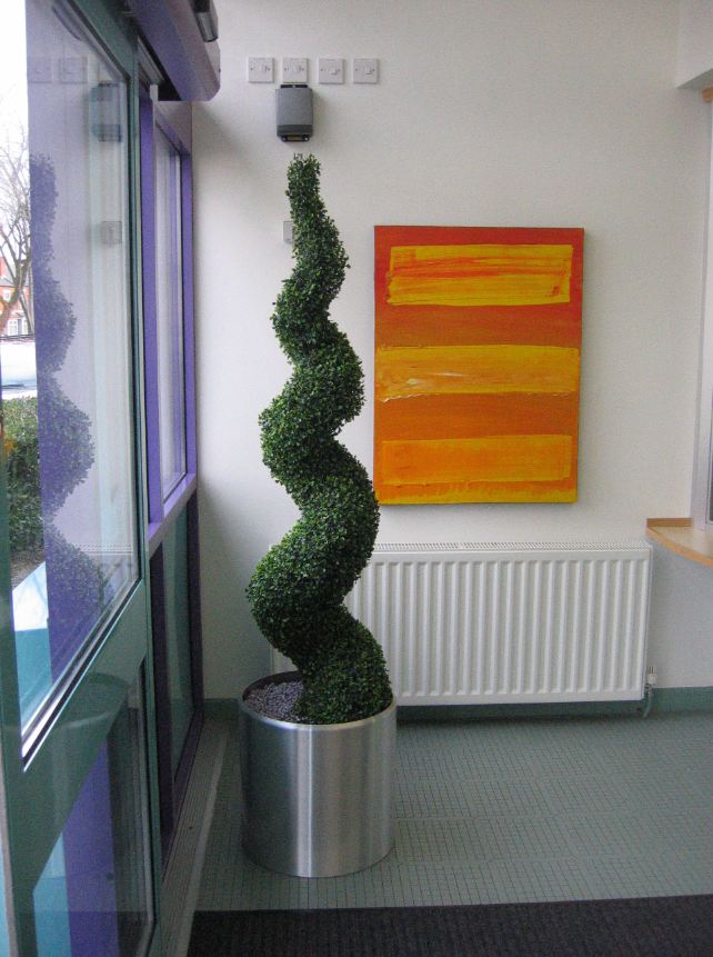 Artificial spiral buxus tree at Nelson Mandella School Birmingham