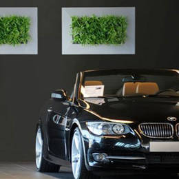 Live Pictures in BMW car showroom