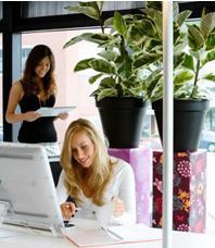 Interior plants reduce business costs
