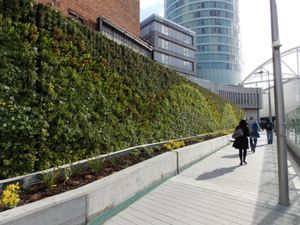 Exterior landscaping in front gardens & city streets reduces air pollution