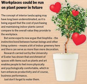Workplaces could be run on Plant Power in the Future