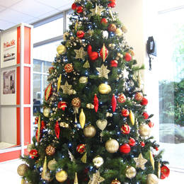 7 Ft Artificial Christmas Tree For A Worcester Engineering Company Reception