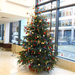 12 Ft Live Tree In Red And Gold At 45 Church St  Birmingham  B3 2 Rt