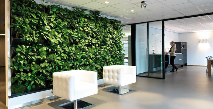 Green Walls For High Profile Office Locations