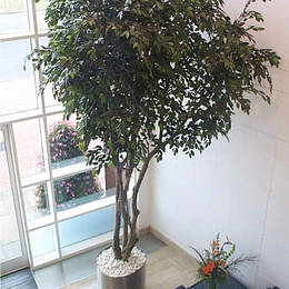 Aerial shot looking down to an office building Reception that has a 5m artificial Ficus tree positioned in one corner