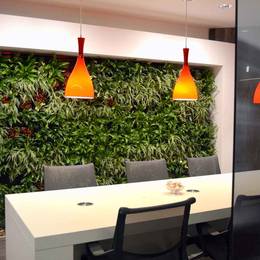 Office Landscapes Green Walls are supplied & maintained in Birmingham & the West Midlands
