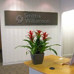 Flowering Guzzmania Plants make a cost effective alternative to fresh flowers in Office Receptions